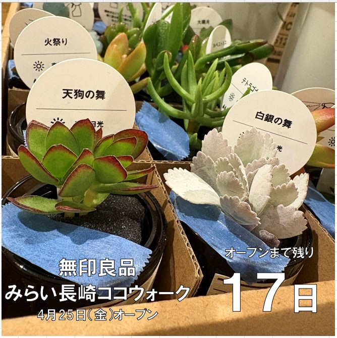 みらい長崎ココウォーク】 手のひらサイズの小さな癒し。土をつかわ